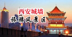 我想看国产日逼视频中国陕西-西安城墙旅游风景区