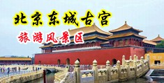 啊，太大了吧，插逼逼视频中国北京-东城古宫旅游风景区